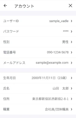 バンドルカードアカウントのスクリーンショット例